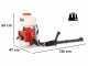 atomiseur-pulvrisateur-port-dos-blue-bird-3-wf-600–agrieuro_24499_1