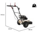 blackstone-wgt-60-173-sp-dbroussailleuse-roues-essence-4-temps-autotracte–agrieuro_34815_2