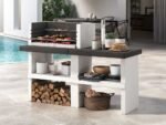 palazzetti-menton-barbecue-bois-et-charbon-en-maonnerie–agrieuro_51875_1 (1)