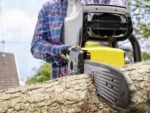 karcher-cns-18-30-trononneuse-batterie-18-v-sans-batterie-ni-chargeur–agrieuro_24265_3