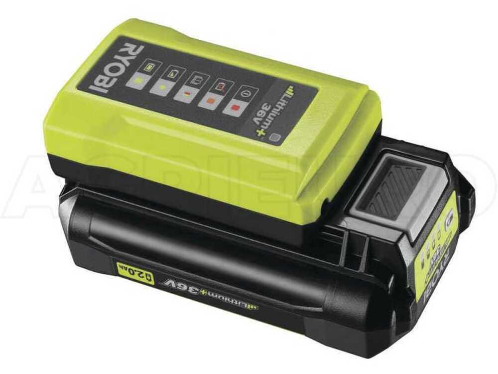 ryobi-ry36pht50a-0-taille-haie-sur-perche-batterie-max-power-36v-2ah-lame-de-50-cm-moteur-lectrique-batterie--40646_3_1678895241_IMG_6411e8897d4e0