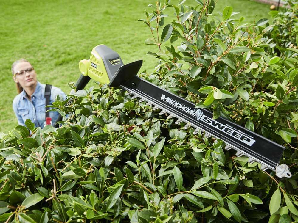 ryobi-ry36pht50a-0-taille-haie-sur-perche-batterie-max-power-36v-2ah-lame-de-50-cm-taille-haies-lectrique-batterie-ry36pht50a-0--40646_1_1678894873_IMG_6411e7192471b
